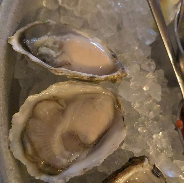oyster-bar1